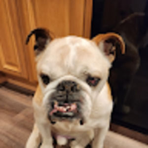 Meet your Posher, Robert